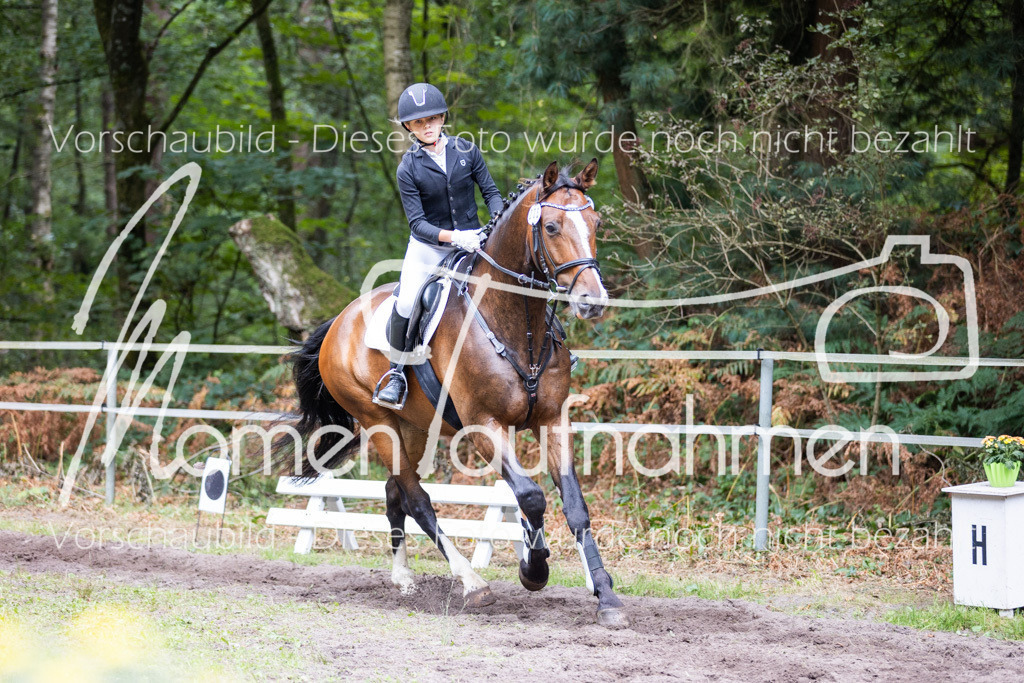 HB-Caprilli-012 | MomenTaufnahmen Pferdesportfotos
