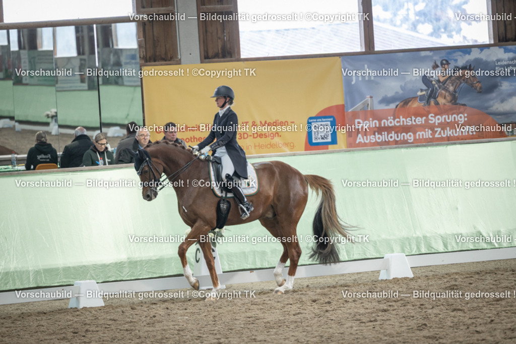 _D5A6431 | Emotionale Pferde- & People-Fotografie rund um Heidelberg, Leimen & Umgebung. Natürliche Fotos von Pferd, Mensch & Familie. Jetzt Termin sichern!