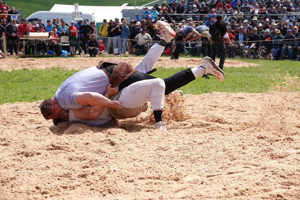 DSC00971 | Schwingen - Realisiert mit Pictrs.com
