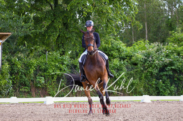 DKP41714 | Turnierfotos kaufen im Webshop von Daniel Kuhl Photography – entdecke professionelle Reitsportfotos aus Turnieren & Events. Hochwertige Turnierbilder online bestellen & sichern. Jetzt Fotos von Reitsportturnieren kaufen!