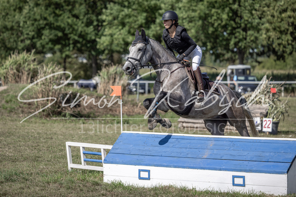 20250907-_3LI9997 | Tierfotografie Pferde, Hunde, Katzen, Haustiere.
Turnierfotografie Reitturniere, Reiten, Springreiten, Dressur in Hanau, dem Main-Kinzig-Kreis und dem Rhein-Main- Gebiet um Frankfurt