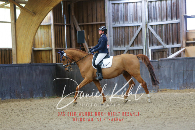 IMG_0318 | Deine Turnierfotos vom Reitturnier online kaufen: Dressur, Springen & Siegerehrung. Professionelle Pferdefotografie aus dem Rheinland – als Download & Print.Alternative: Turnierfotograf für den Pferdesport: Finde deine Fotos von Dressur- und Springturnier