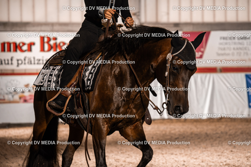 ZH300007 | dv-media-shop - Realisiert mit Pictrs.com