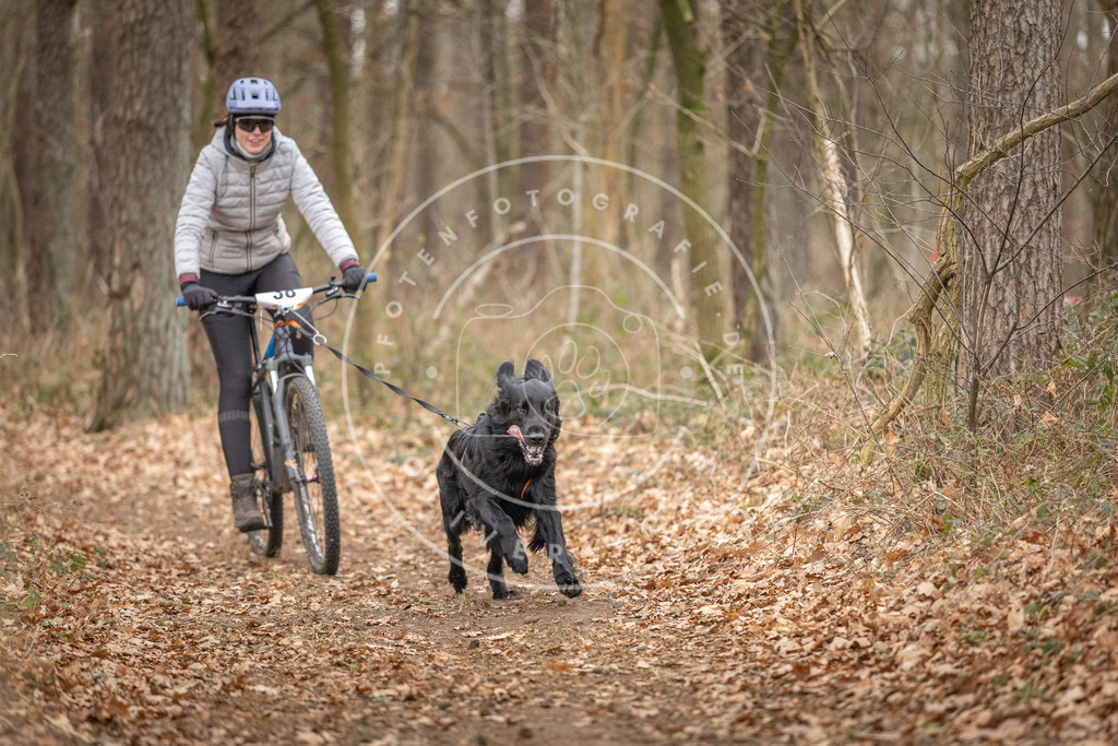 Pfotenfotografie_DV3A0230 | Hundefotografie, Tierfotograf, Pfotenfotografie, Fotoshooting Hund, Hunde Portrait, Hundesport, Hundeportraits, Heideshooting, Hunde, Sportfotograf, Hundefotograf, Turnierhundsport, THS,  - Realisiert mit Pictrs.com