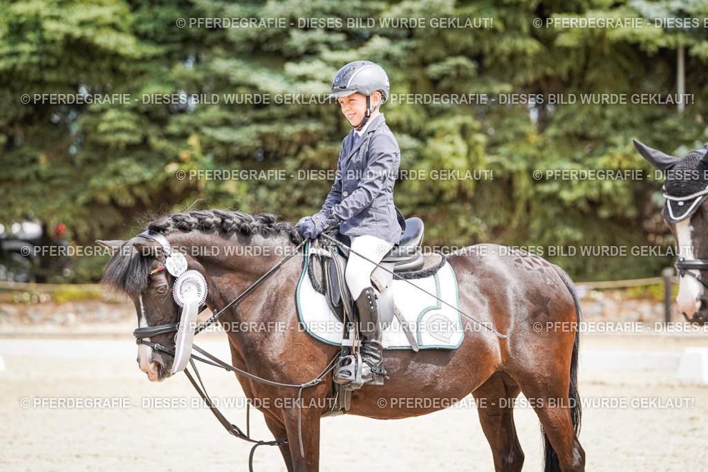 DSC02875 | Pferdegrafie