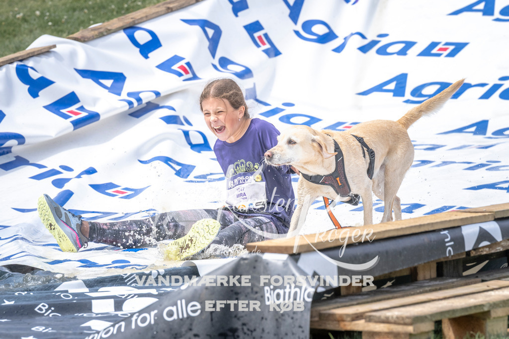 1258_ZZ99509 | kk-dogfotos