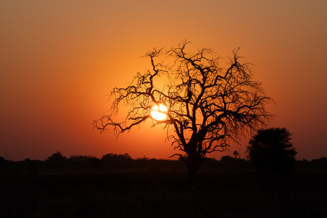 Sonnenuntergang im Okavango Delta_ Botswana | Atemberaubende Reisefotografie gepaart mit modernen Inspirationen für persönliche Perspektivwechsel. Für alle Reisenden mit Drang nach Abenteuer und Freiheit. Ideal als Geschenkidee - Realisiert mit Pictrs.com