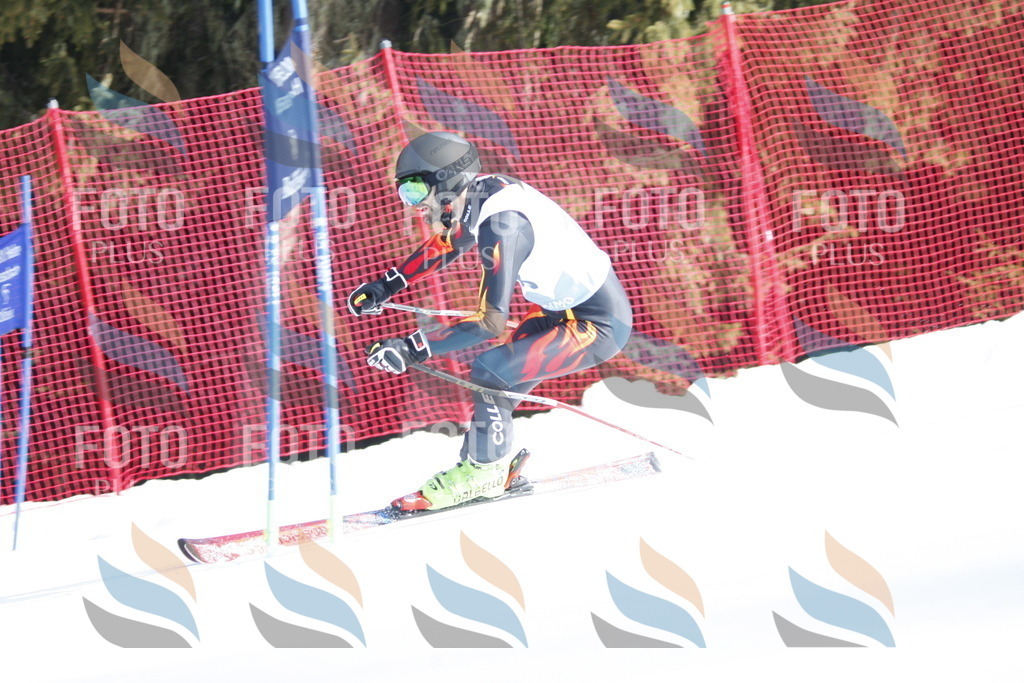 D7249 | holidayphoto