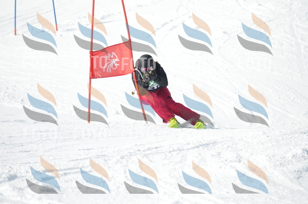 D9193 | holidayphoto