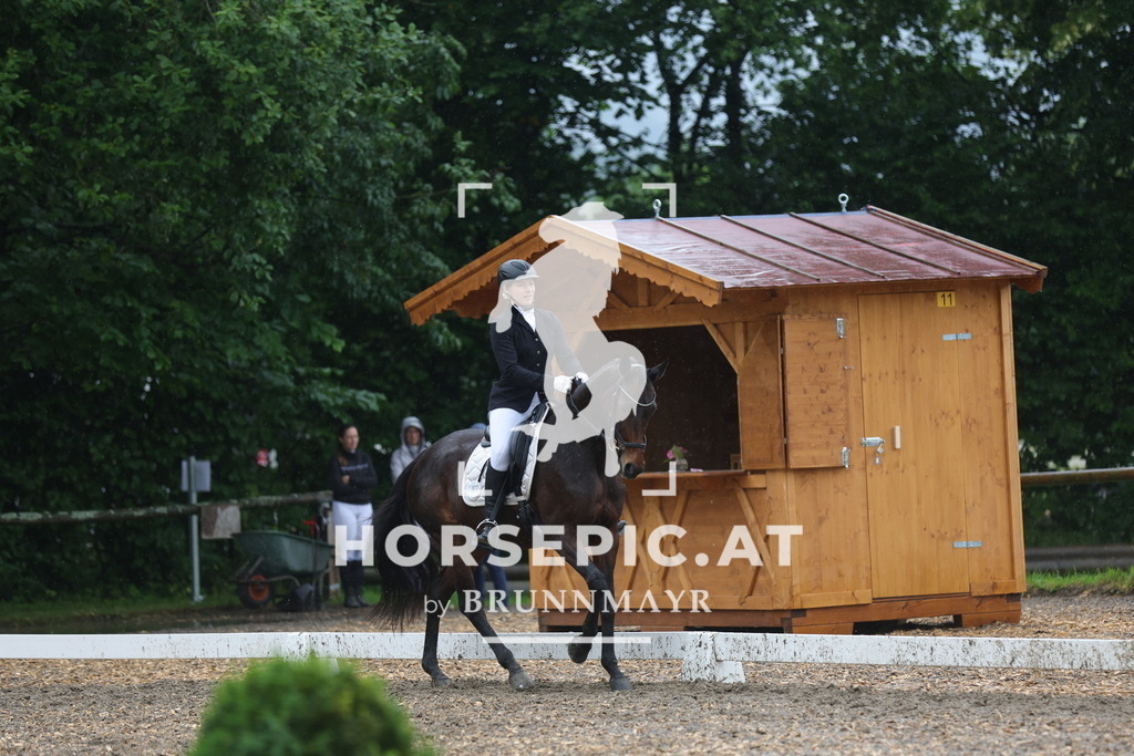 0P6A8543 | Willkommen bei Brunnmayr - Design & Fotografie – Ihrem Spezialisten für Reitturniere und Pferdeveranstaltungen in Oberösterreich, Salzburg und Bayern! Seit über 17 Jahren sind wir leidenschaftlich dabei.