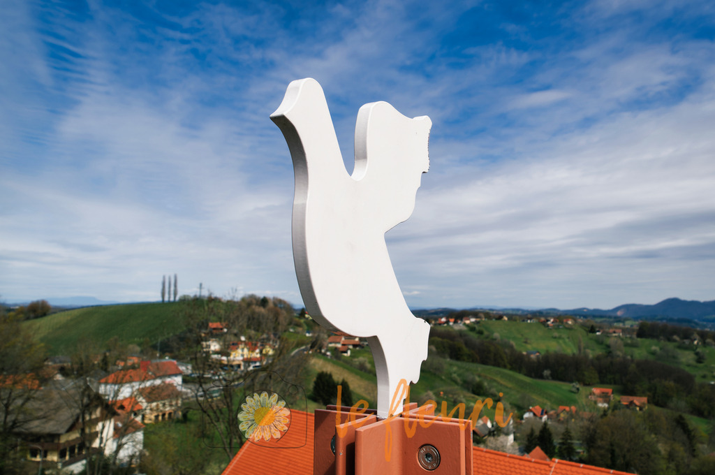 DSC_0069-NEF_DxO_DeepPRIME | Dies ist der Shop von Florian Blum - le fleuri. Langenthal, Bern, Schweiz. Sie können hier meine oder ihre eigenen Fotos als Fotoprodukte kaufen. Tassen, Schlüsselanhänger, Taschen etc. können Sie hier gestalten.  - Realisiert mit Pictrs.com