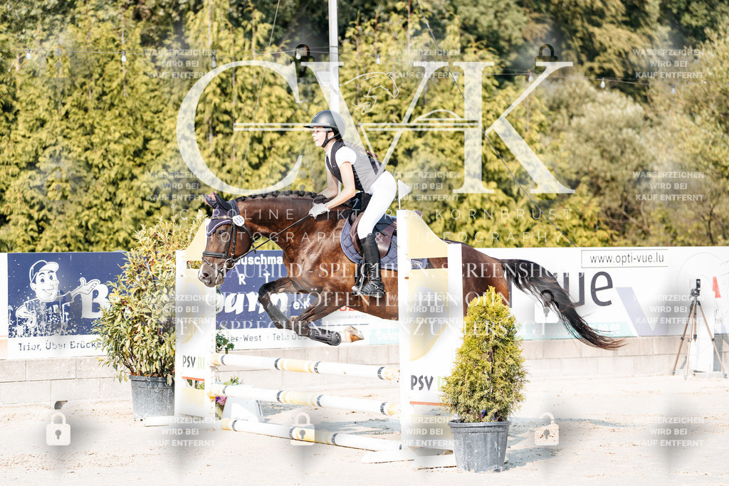 CK902777 | Turnierfotografie Pferdefotografie Trier Rheinland-Pfalz Pferdesport Reitsport Tierfotografie Sportfotografie Pferdevideo Pferdevideografie Equestrianvideography equestrianphotography  - Realisiert mit Pictrs.com