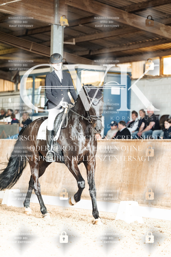 CK902516 | Turnierfotografie Pferdefotografie Trier Rheinland-Pfalz Pferdesport Reitsport Tierfotografie Sportfotografie Pferdevideo Pferdevideografie Equestrianvideography equestrianphotography  - Realisiert mit Pictrs.com