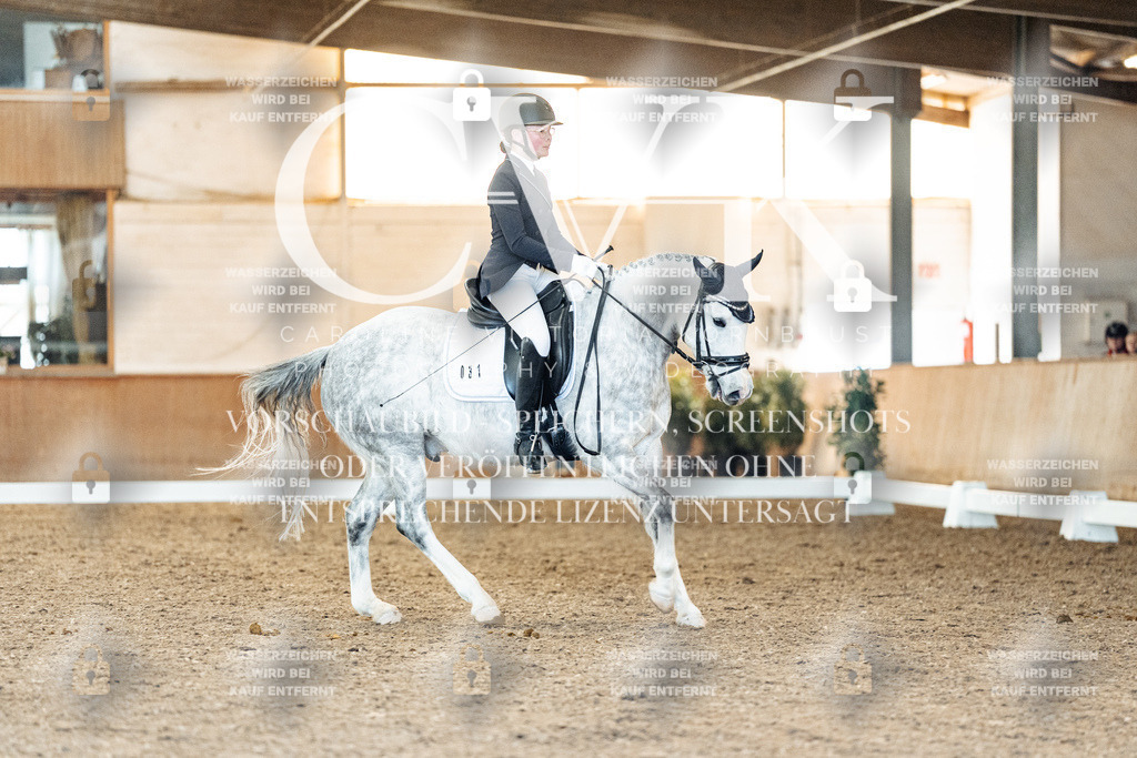 CK907768 | Turnierfotografie Pferdefotografie Trier Rheinland-Pfalz Pferdesport Reitsport Tierfotografie Sportfotografie Pferdevideo Pferdevideografie Equestrianvideography equestrianphotography  - Realisiert mit Pictrs.com