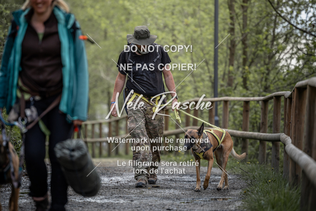 nelerasche_TheGame2026_SaCampEinlauf_369 | nelerasche