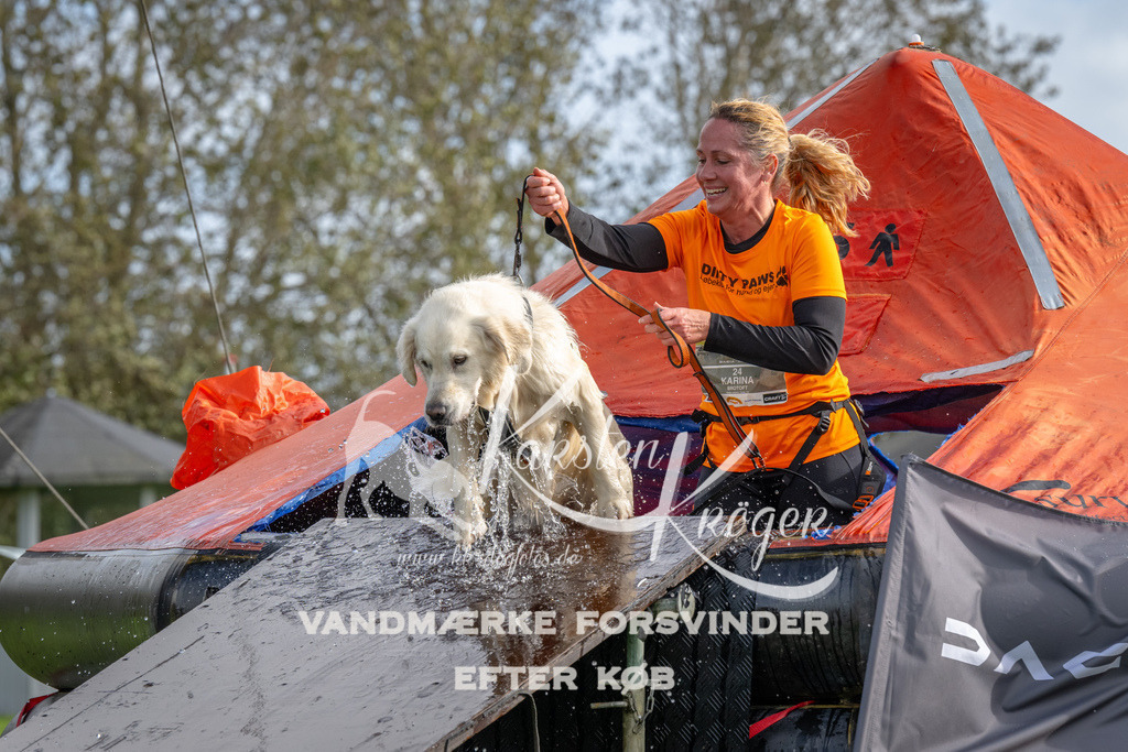 1211-92721 | kk-dogfotos