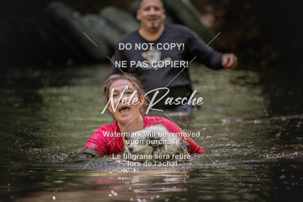 nelerasche_SaWingst1400-1500_371 | nelerasche