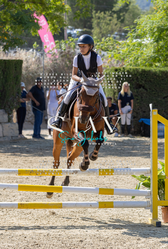 IMG_9761 | s-jay-photography - Realisiert mit Pictrs.com