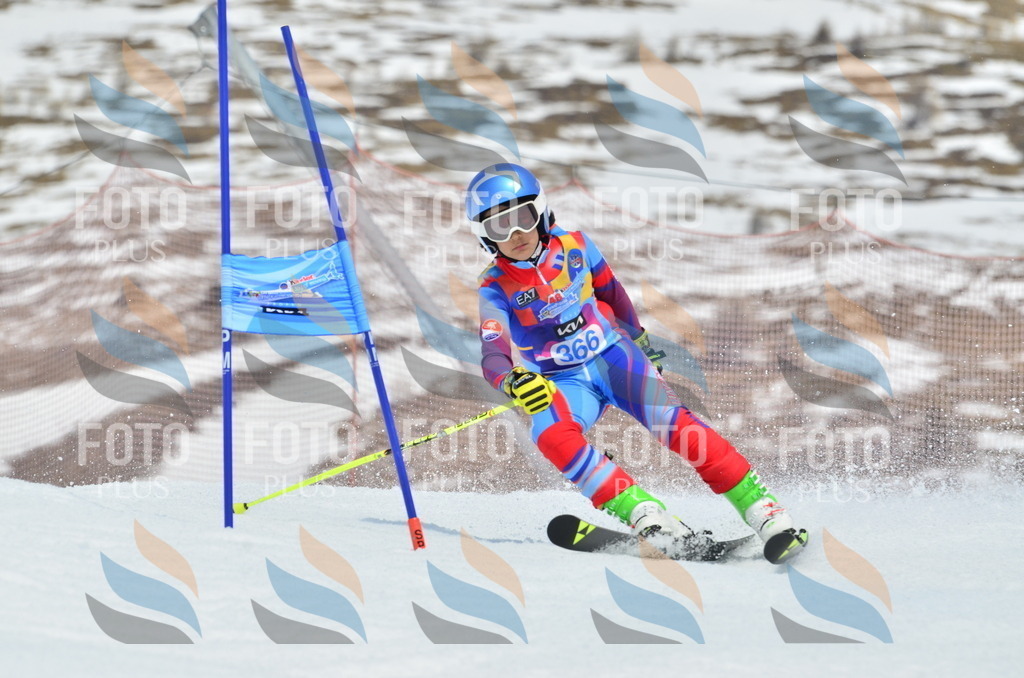 _ELE2943 | holidayphoto