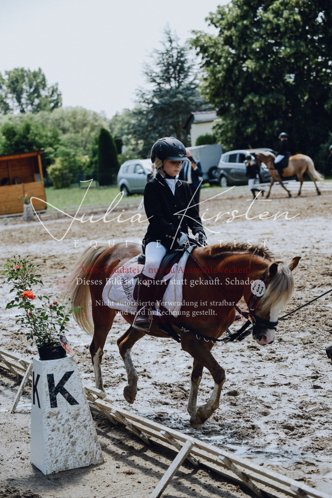 DSC_2302 | Pferde- und Turnierfotografie in Westsachsen. Pferdeportraits, Auftragszeichnungen und intuitive Kunst.