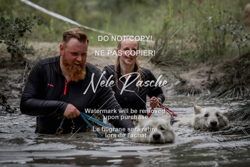 nelerasche_so0800-0930_451 | nelerasche