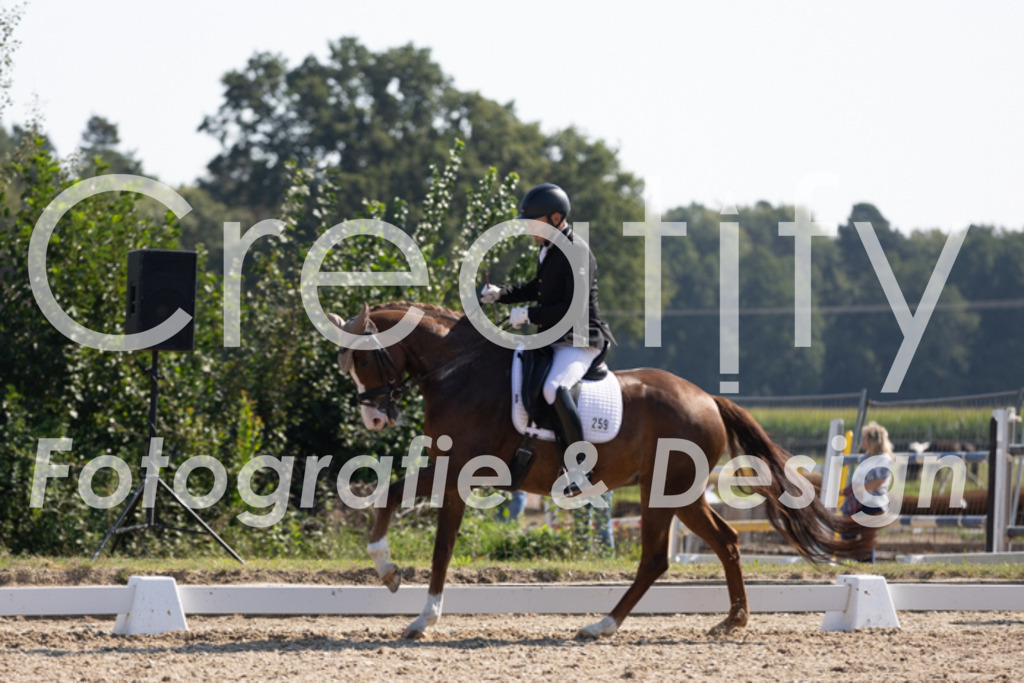 IMG_3546 | Creatify Fotografie