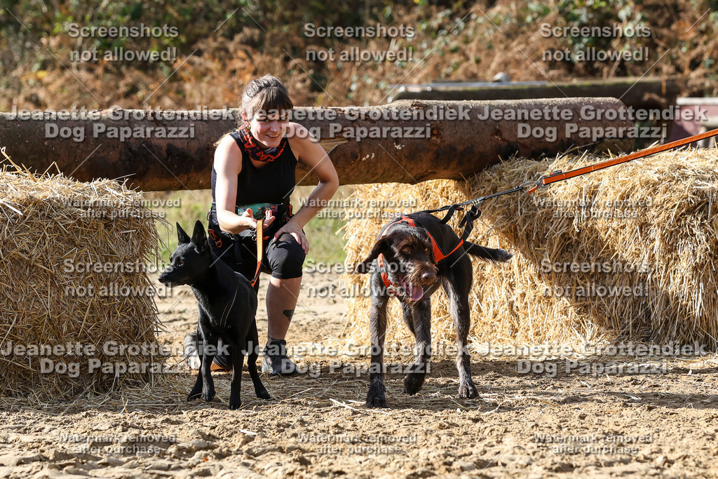 Dog Paparazzi - Strongdog 10-25-5509 | Dog Paparazzi Jeanette Grottendiek Fotografie & Videografie - Realisiert mit Pictrs.com
