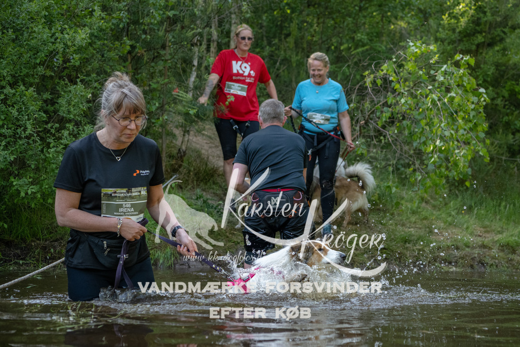 1748DKK992774 | kk-dogfotos