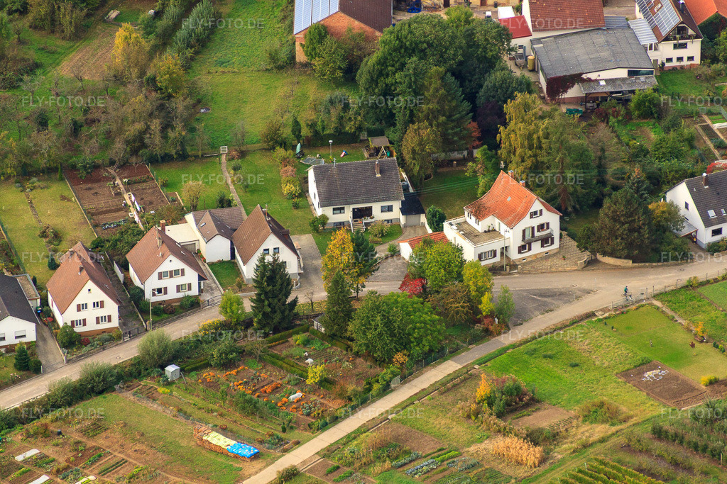 Luftbild: Wiesenstr im Ortsteil Rechtenbach in Schweigen-Rechtenbach im Bundesland Rheinland-Pfalz in Deutschland. Foto: IMG_22451.jpg vom 15.10.2009 durch Werner Riehm/FLY-FOTO.de