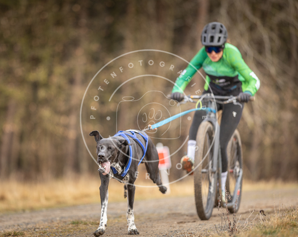 DV3A3405 | Hundefotografie, Tierfotograf, Pfotenfotografie, Fotoshooting Hund, Hunde Portrait, Hundesport, Hundeportraits, Heideshooting, Hunde, Sportfotograf, Hundefotograf, Turnierhundsport, THS,  - Realisiert mit Pictrs.com