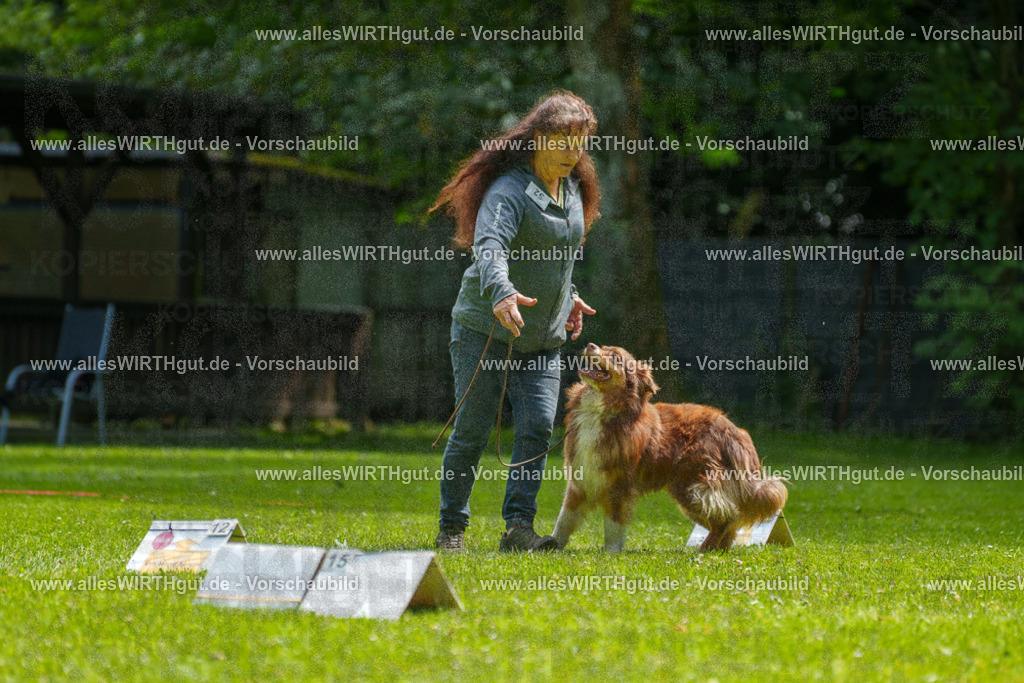 @allesWIRTHgut_Tierfotografie - www.allesWIRTHgut.de - 7R500843 | Professionelle Tierfotografie in Mönchengladbach von Daniel Wirth (allesWIRTHgut). Liebevolle & natürliche Bilder von Hunden & Katzen für unvergessliche Erinnerungen.