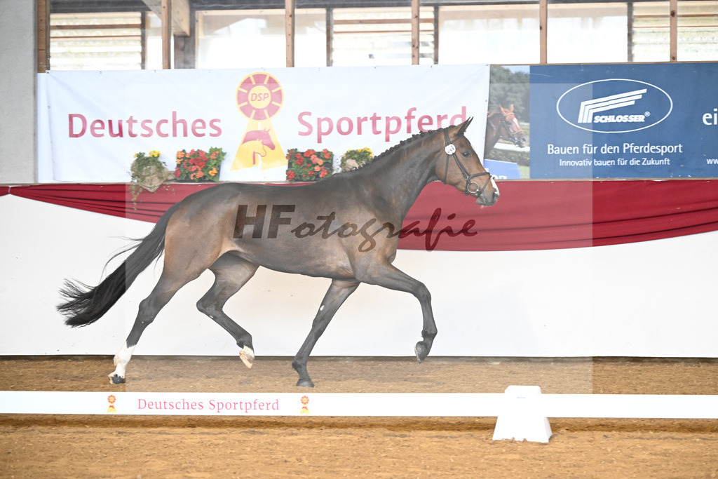 Kat-Nr. 48 Bellana v. Bellany_Jaumann_16250206 | hf-fotografie - Realizzato con Pictrs.com