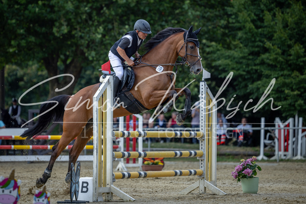 20260704-_3LI1572 | Tierfotografie Pferde, Hunde, Katzen, Haustiere.
Turnierfotografie Reitturniere, Reiten, Springreiten, Dressur in Hanau, dem Main-Kinzig-Kreis und dem Rhein-Main- Gebiet um Frankfurt