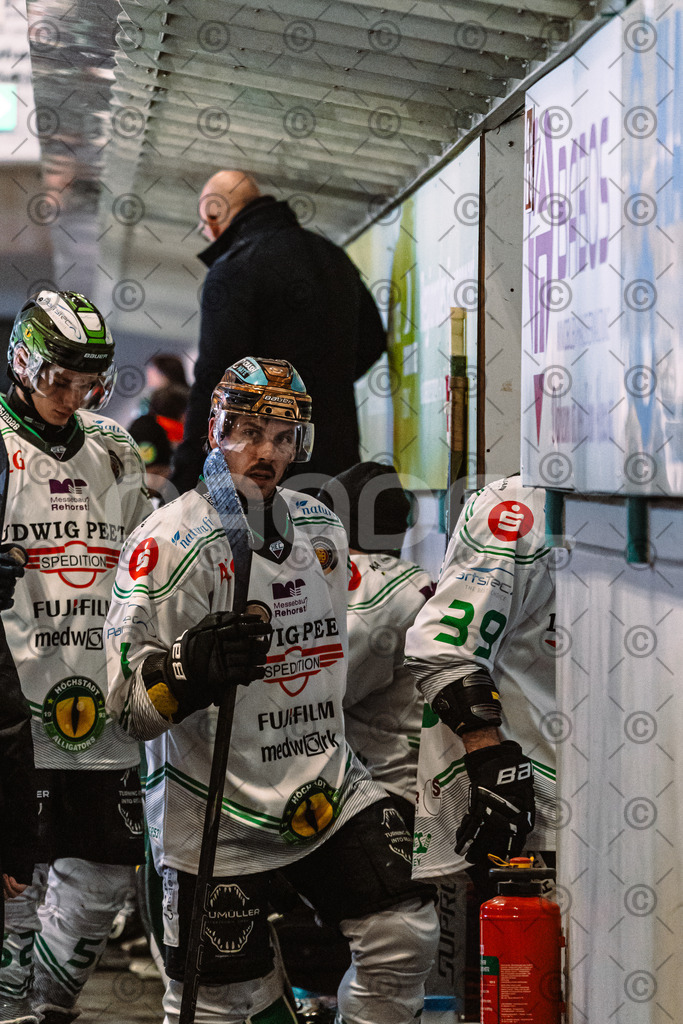 Erding_vs_Alligators_02_01_2026-73 | Höchstadt Alligators Fotogalerie: Eishockey-Action aus Franken. Professionelle Spielfotos, Portraits & Stadionbilder zum Download. Jetzt entdecken! - Realisiert mit Pictrs.com