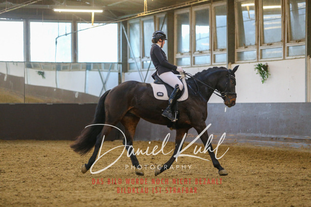 IMG_7277 | Turniersportfotografie; Pferdefotografie; Dressurfotografie