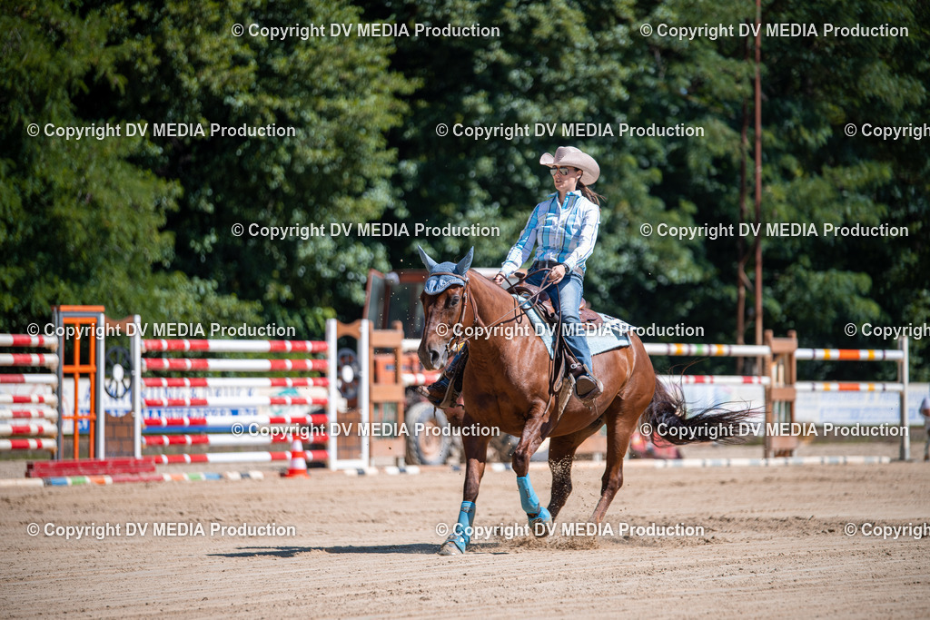 ZS1_1006 | dv-media-shop - Realisiert mit Pictrs.com