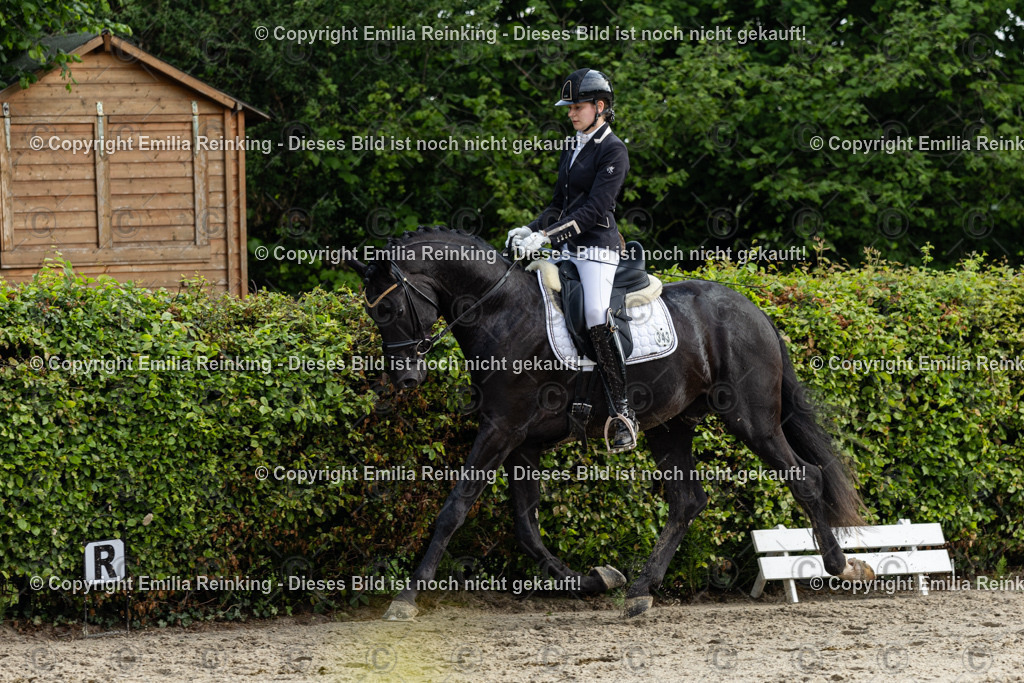 CL5A3793 | Emilia Reinking Fotografie - Realisiert mit Pictrs.com