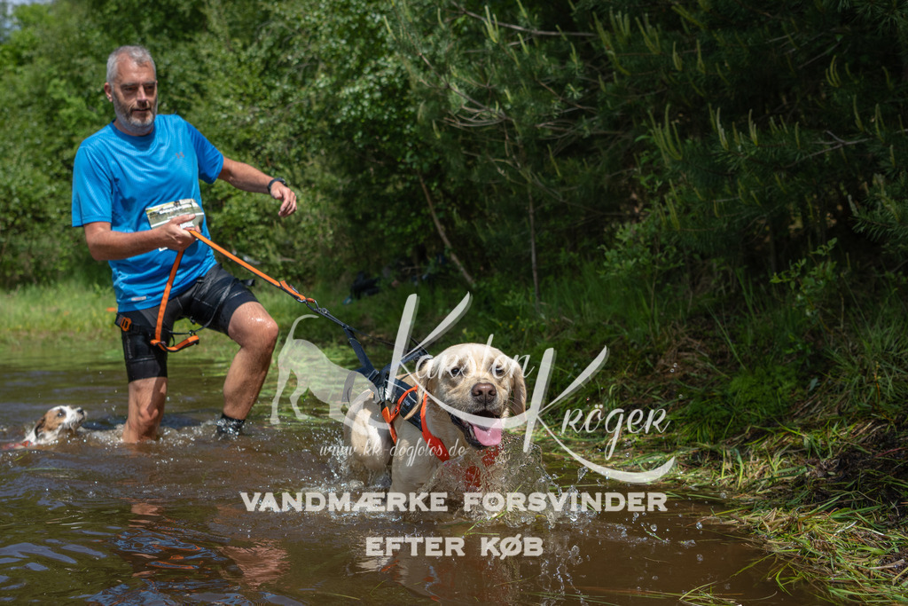 1204DKK991711 | kk-dogfotos