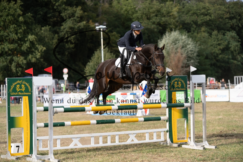 A7V09774 | Pferdefotograf