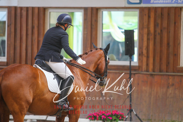 DKP44582 | Turniersportfotografie; Pferdefotografie; Dressurfotografie