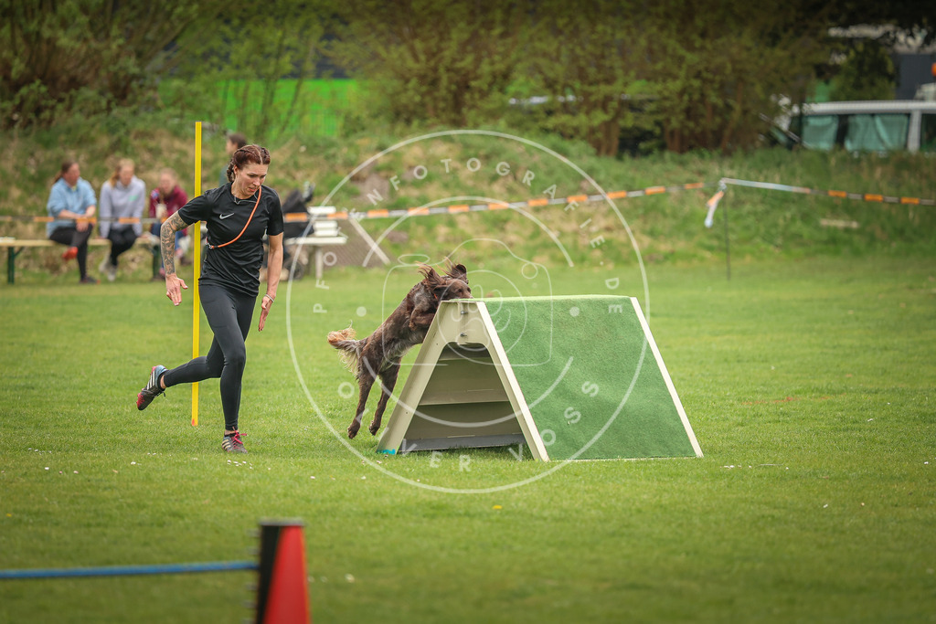 Pfotenfotografie_0L8A1670 | Hundefotografie, Tierfotograf, Pfotenfotografie, Fotoshooting Hund, Hunde Portrait, Hundesport, Hundeportraits, Heideshooting, Hunde, Sportfotograf, Hundefotograf, Turnierhundsport, THS,  - Realisiert mit Pictrs.com