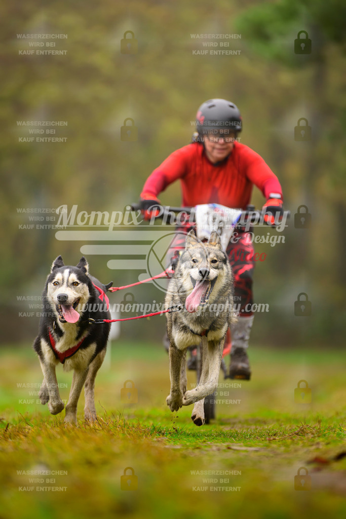 MompixPhotography_Bischwiller2025_Bike-137 | mompixphotography