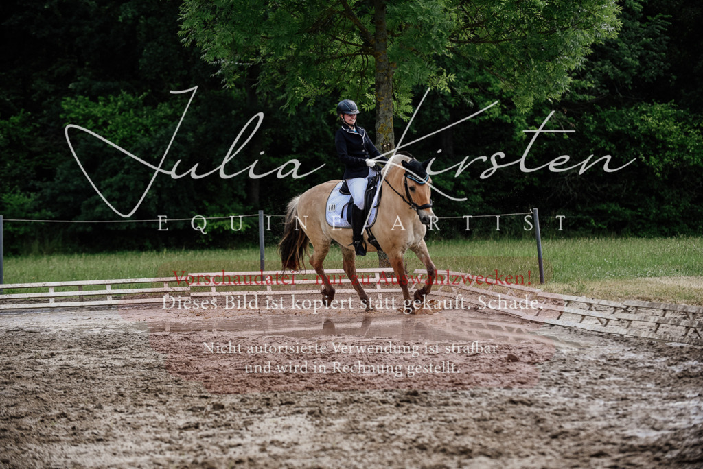 DSC_1710 | Pferde- und Turnierfotografie in Westsachsen. Pferdeportraits, Auftragszeichnungen und intuitive Kunst.
