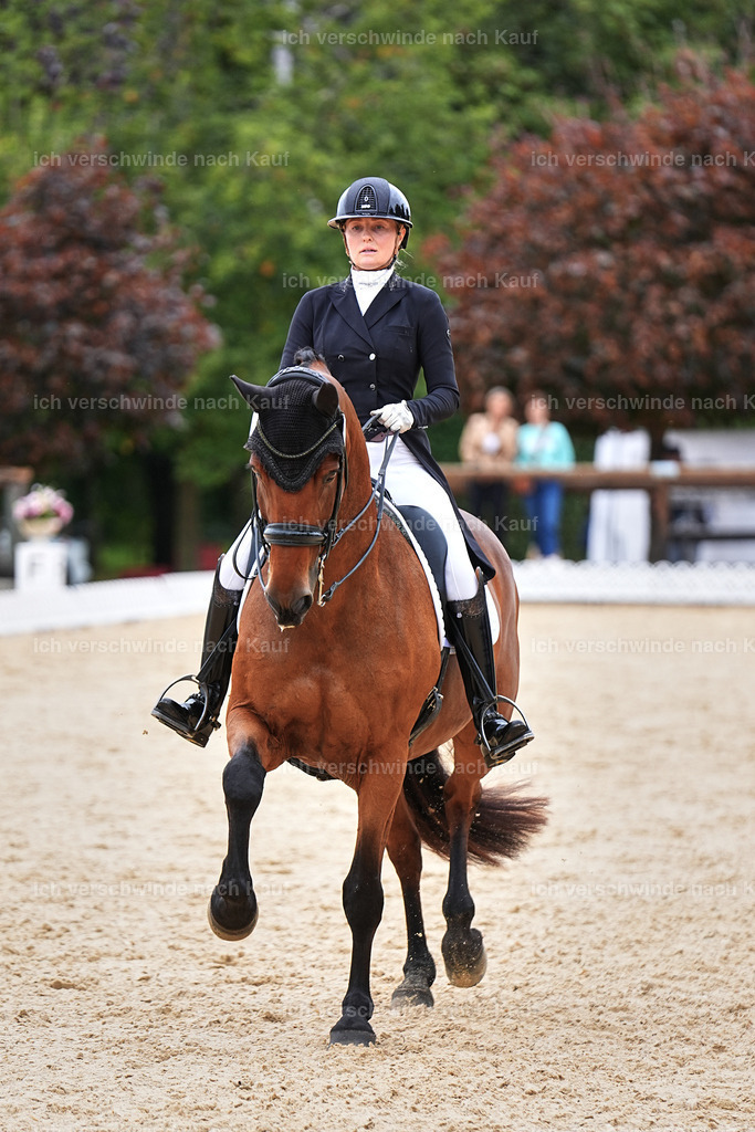 11-189-Dressur S___-Marixx-1777 | working equitationturnier fotograf videograf stoibphotography marixx film working equitation deutschland reitsport turnierfotografie eventfotografie equestrian events
