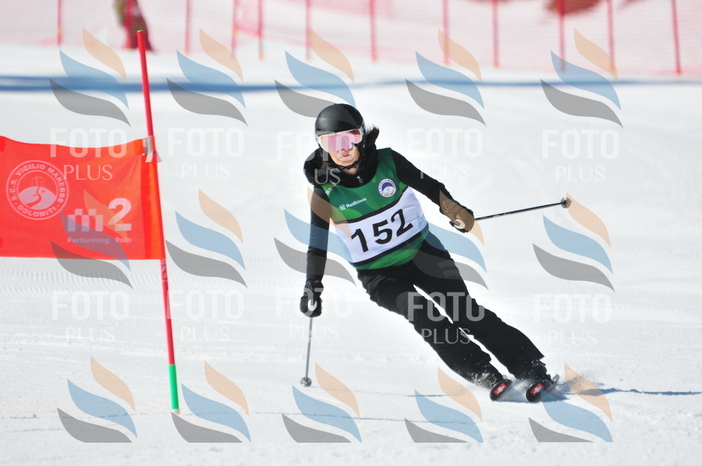 C4067 | holidayphoto