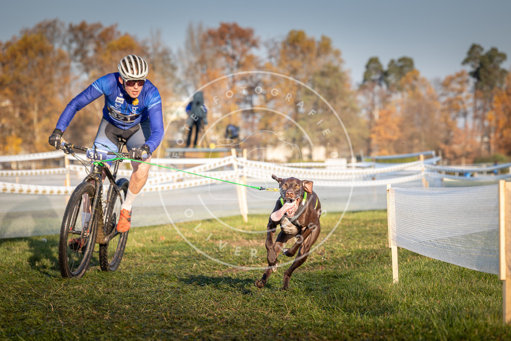CaniXpix_0L8A3851 | Hundefotografie, Tierfotograf, Pfotenfotografie, Fotoshooting Hund, Hunde Portrait, Hundesport, Hundeportraits, Heideshooting, Hunde, Sportfotograf, Hundefotograf, Turnierhundsport, THS,  - Realisiert mit Pictrs.com