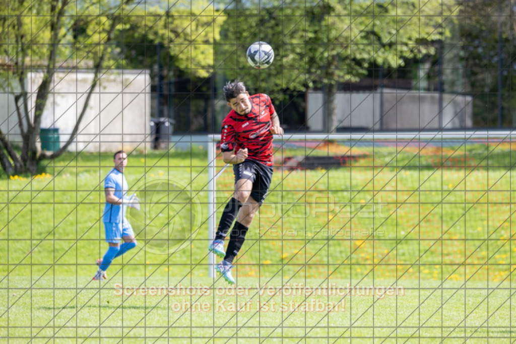 20250427_150421_0108 | #,TSV Bad Boll (rot) vs. SV Waldhausen (gelb), Fussball, Landesliga 2 - wfv, 24. Spieltag, Saison 2024/2025, Rasenplatz, Erlengarten 37, 73087 Bad Boll, 27.04.2025 - 15:00 Uhr,Foto: PhotoPeet-Sportfotografie/Peter Harich