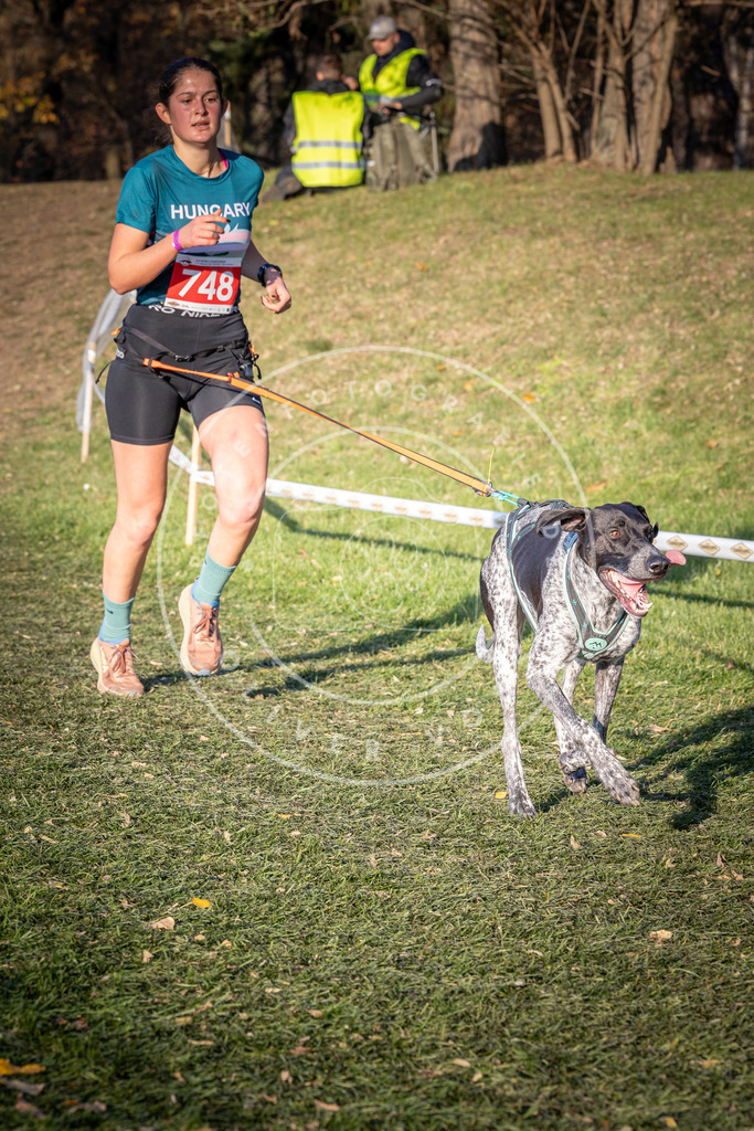 CaniXpix_0L8A9884 | Hundefotografie, Tierfotograf, Pfotenfotografie, Fotoshooting Hund, Hunde Portrait, Hundesport, Hundeportraits, Heideshooting, Hunde, Sportfotograf, Hundefotograf, Turnierhundsport, THS,  - Realisiert mit Pictrs.com