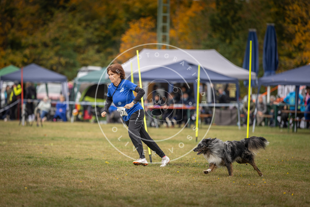 Pfotenfotografie_DV3A6013 | Hundefotografie, Tierfotograf, Pfotenfotografie, Fotoshooting Hund, Hunde Portrait, Hundesport, Hundeportraits, Heideshooting, Hunde, Sportfotograf, Hundefotograf, Turnierhundsport, THS,  - Realisiert mit Pictrs.com