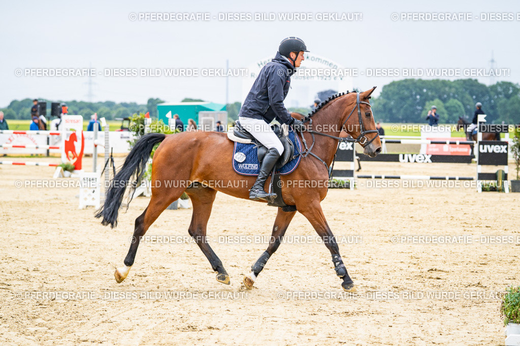 DSC06864 | Pferdegrafie